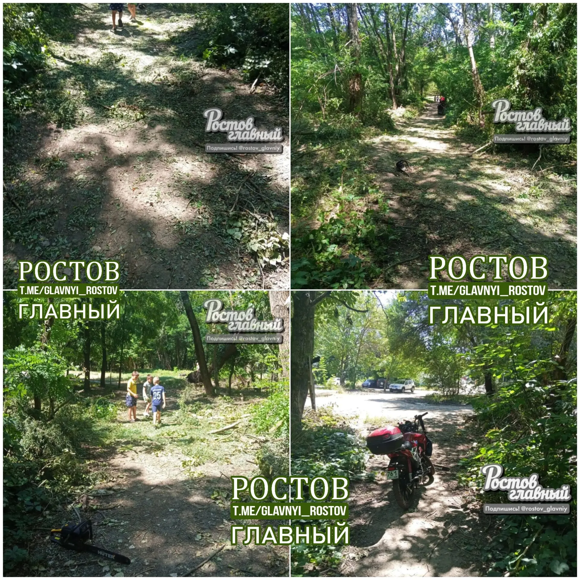 Житель Ростова-на-Дону вместе с сыновьями и сыном соседа убрал мусор и расчистил все проходы в местной роще — жители поблагодарили за инициативу.