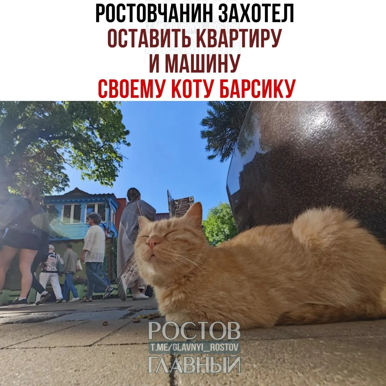 72-летний пенсионер пытался оформить наследство в пользу кота Барсика, чтобы тот не остался без ухода, но нотариус объяснил, что животное не может быть наследником — можно лишь возложить обязательства на людей.