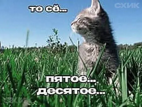 22 июля в Ростове-на-Дону ожидается преимущественно солнечная погода, температура до +31°C, ветер порывами до 5 м/с. Осадков не предвидится.