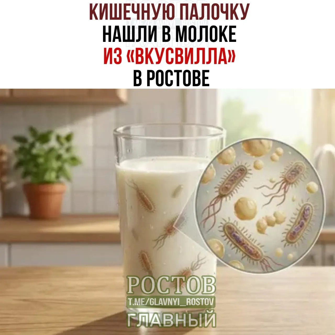 Роспотребнадзор выявил кишечную палочку в молоке «ВкусВилл» производства «Лебедяньмолоко». Ритейлер пообещал провести дополнительные проверки, надзор требует ужесточить контроль за продукцией.