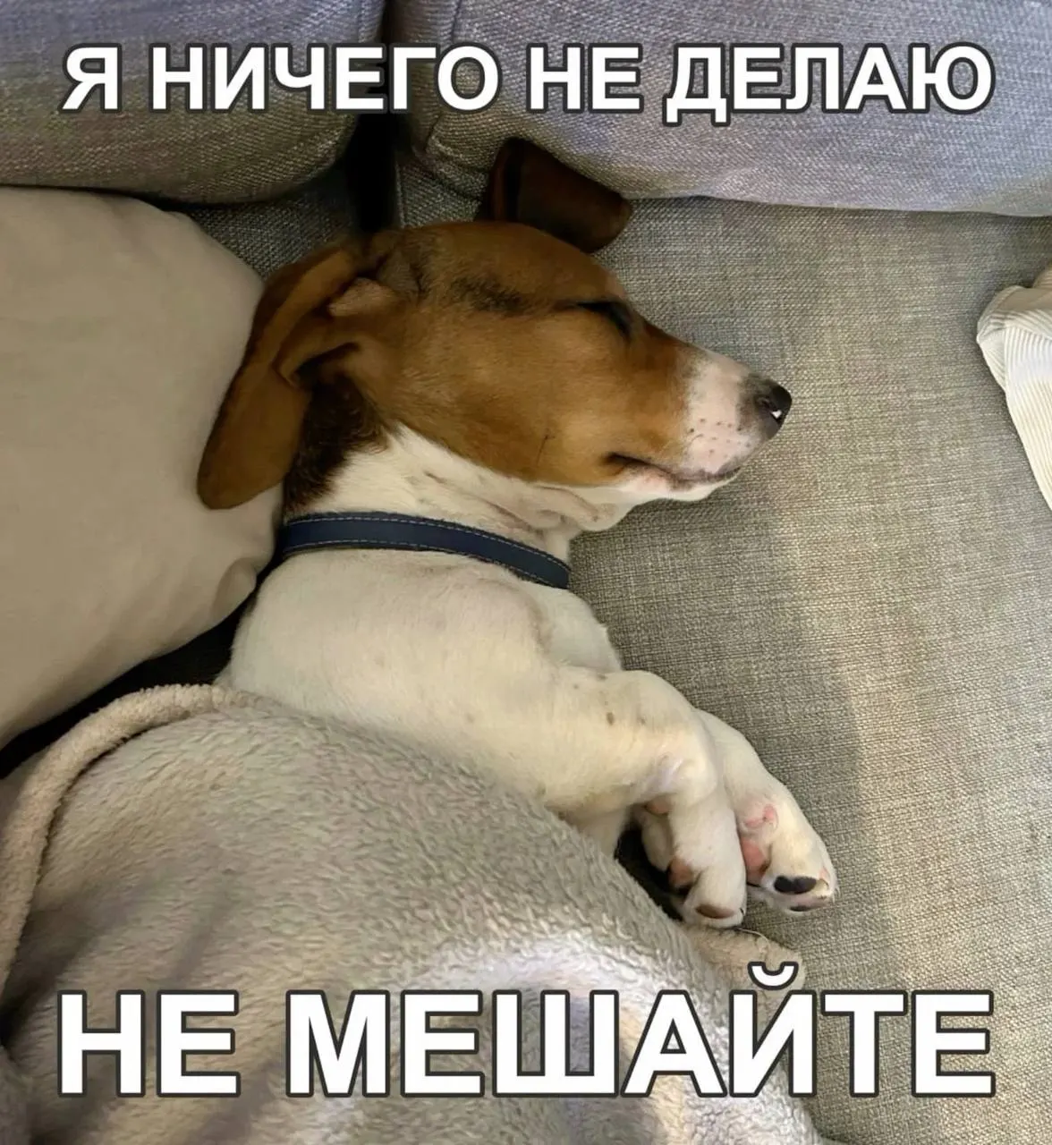 Днём +26…+28 °C, ночью +14…+16 °C. Переменная облачность, без осадков. Ветер 6–11 м/с. В регионе — чрезвычайная пожароопасность (5-й класс).