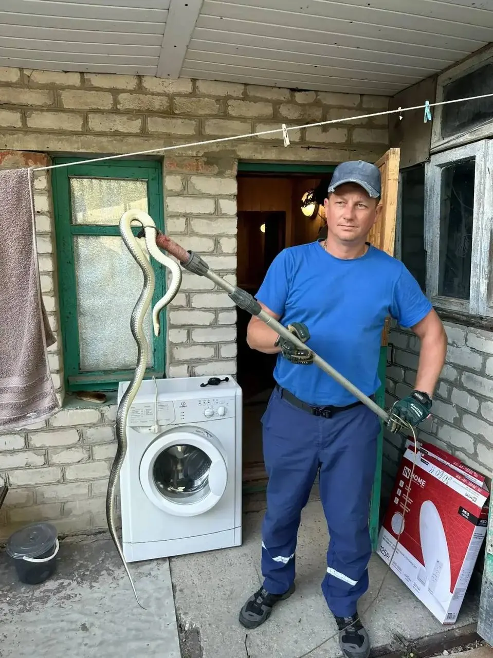 В селе Мысхако на приусадебном участке в бане обнаружили змею. Спасатели извлекли рептилию и отпустили её в лесополосу.