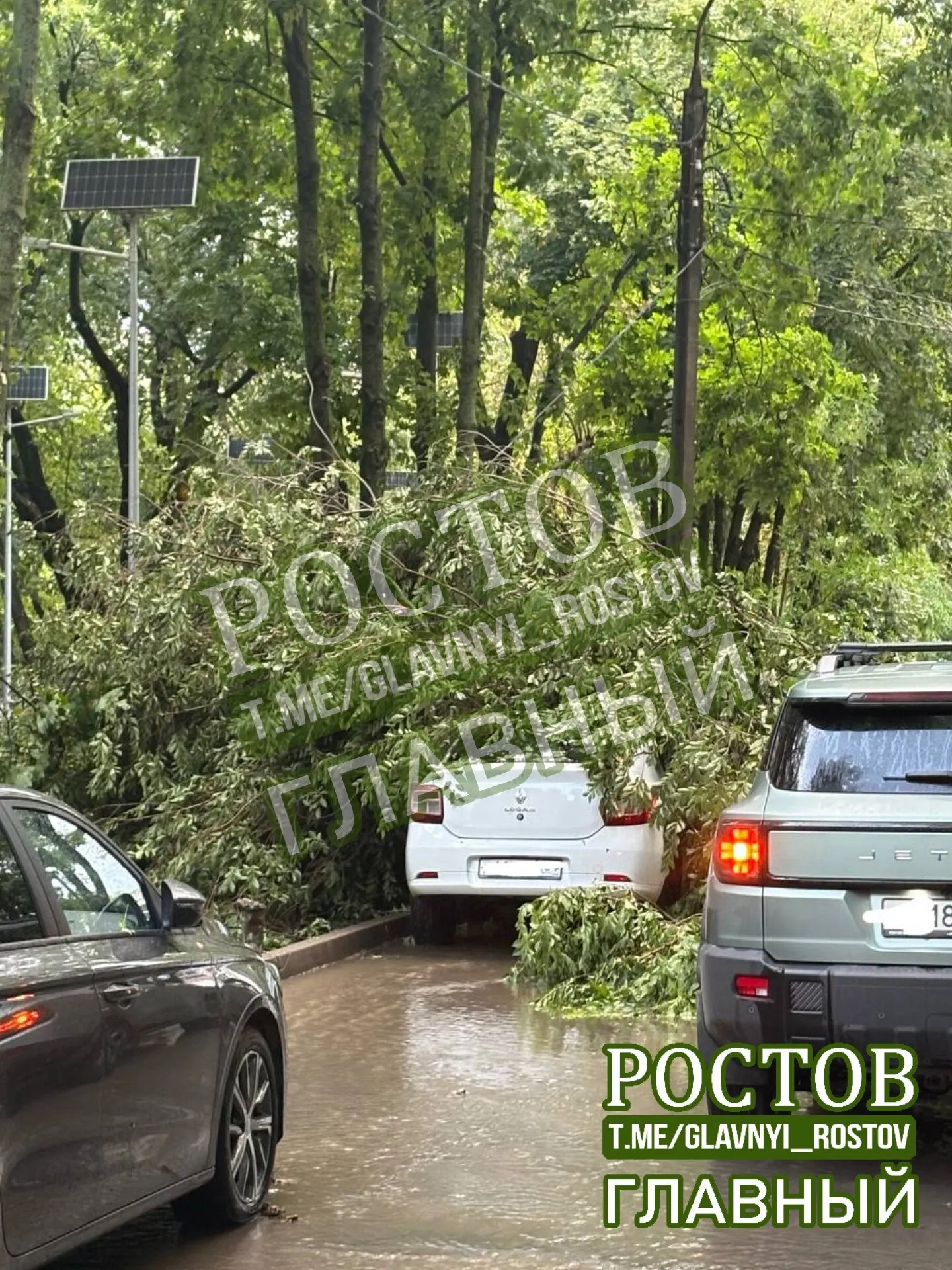 На улице Королёва, 13 в Ростове-на-Дону дерево свалилось на припаркованный автомобиль. К счастью, обошлось без пострадавших.