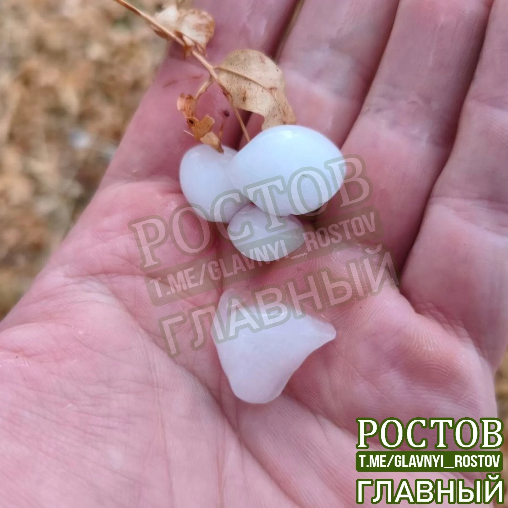В Волгодонском районе Ростовской области зафиксирован сильный град. Публикуемые кадры показывают крупные градины и последствия осадков.