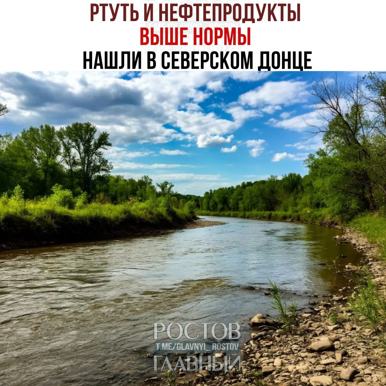 Исследование 2024–2025 годов выявило хроническое загрязнение нескольких участков Северского Донца: нефтепродукты превышают норму в 6,4 раза, ртуть — местами до 15,8 раза.