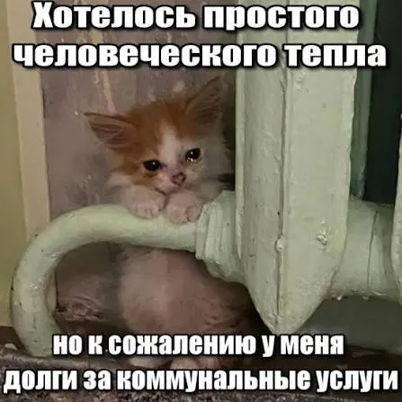 ВС подтвердил, что срок исковой давности в три года препятствует отражению в платёжных квитанциях задолженностей за капремонт старше этого периода. Решение важно для покупавших жильё на вторичном рынке и получивших в наследство имущества с накопленными долгами.