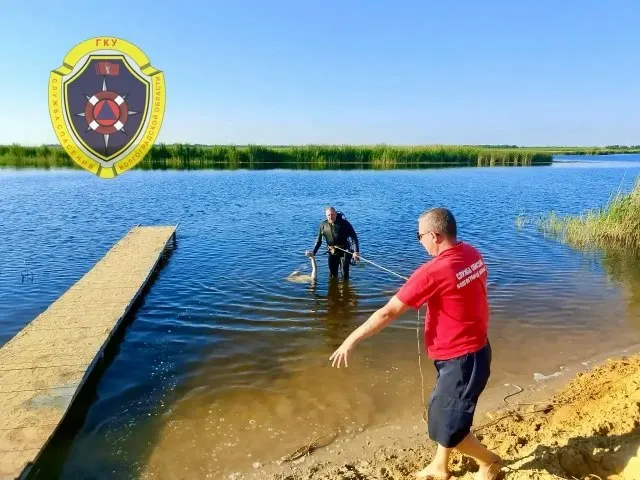 Днем 2 июля в рабочем поселке Новониколаевский 16‑летний юноша утонул — трагедия произошла на глазах у родителей.