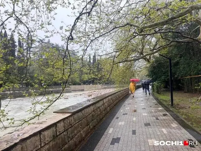 Ливни, смерчи, шквалистый ветер и подъём уровня воды в реках — власти объявили штормовое предупреждение для Сочи.