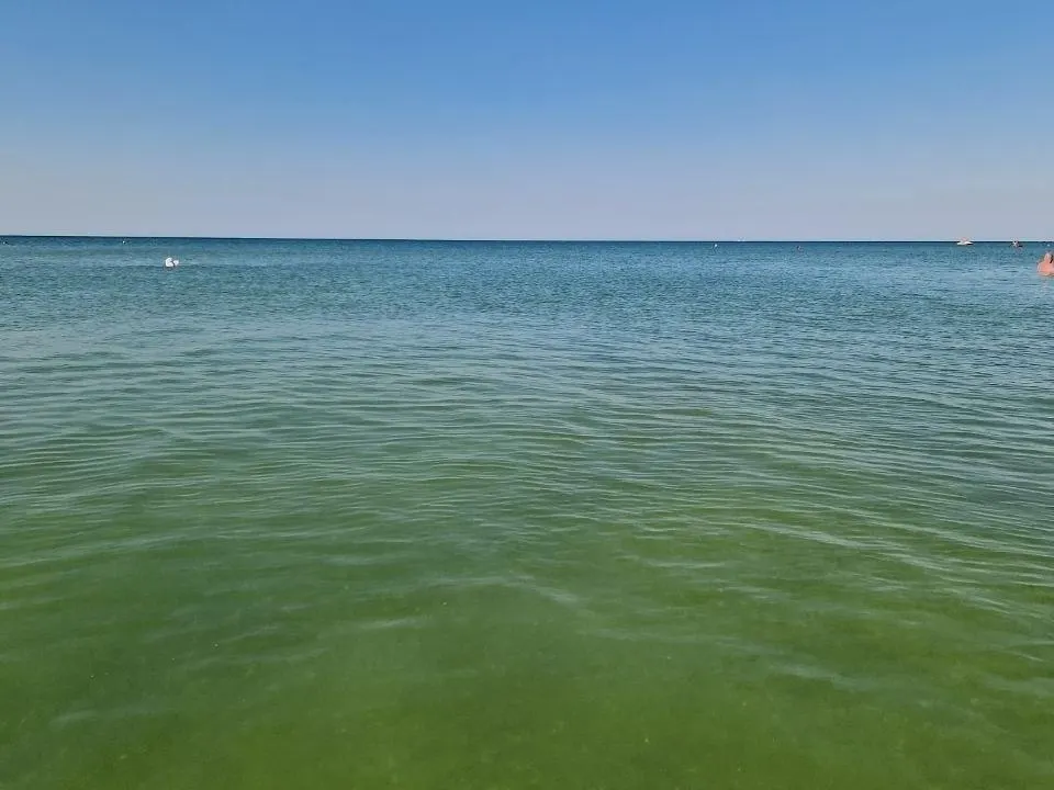 На побережье Краснодарского края обновления по пляжам: вода около 25°C, мелкая рябь, без медуз и мусора; возможна смена ветра вечером.