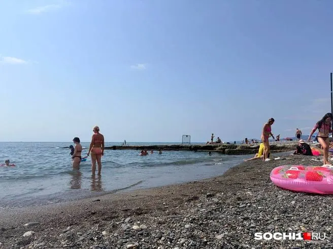 Жительница Мурманска попала на мошенников: она заплатила 166 тысяч рублей за отдых в Сочи, однако бронь оказалась недействительной.