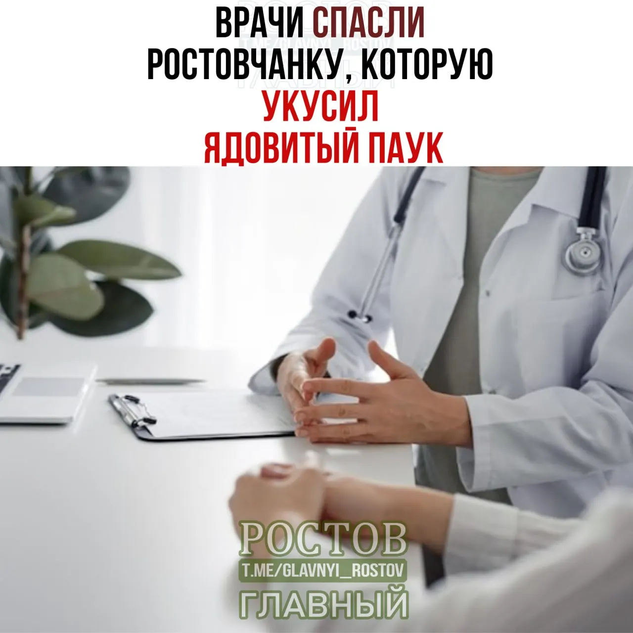 Женщина поступила в токсикологическое отделение после укуса ядовитого паука; состояние стабилизировалось после лечения, и она была выписана домой.