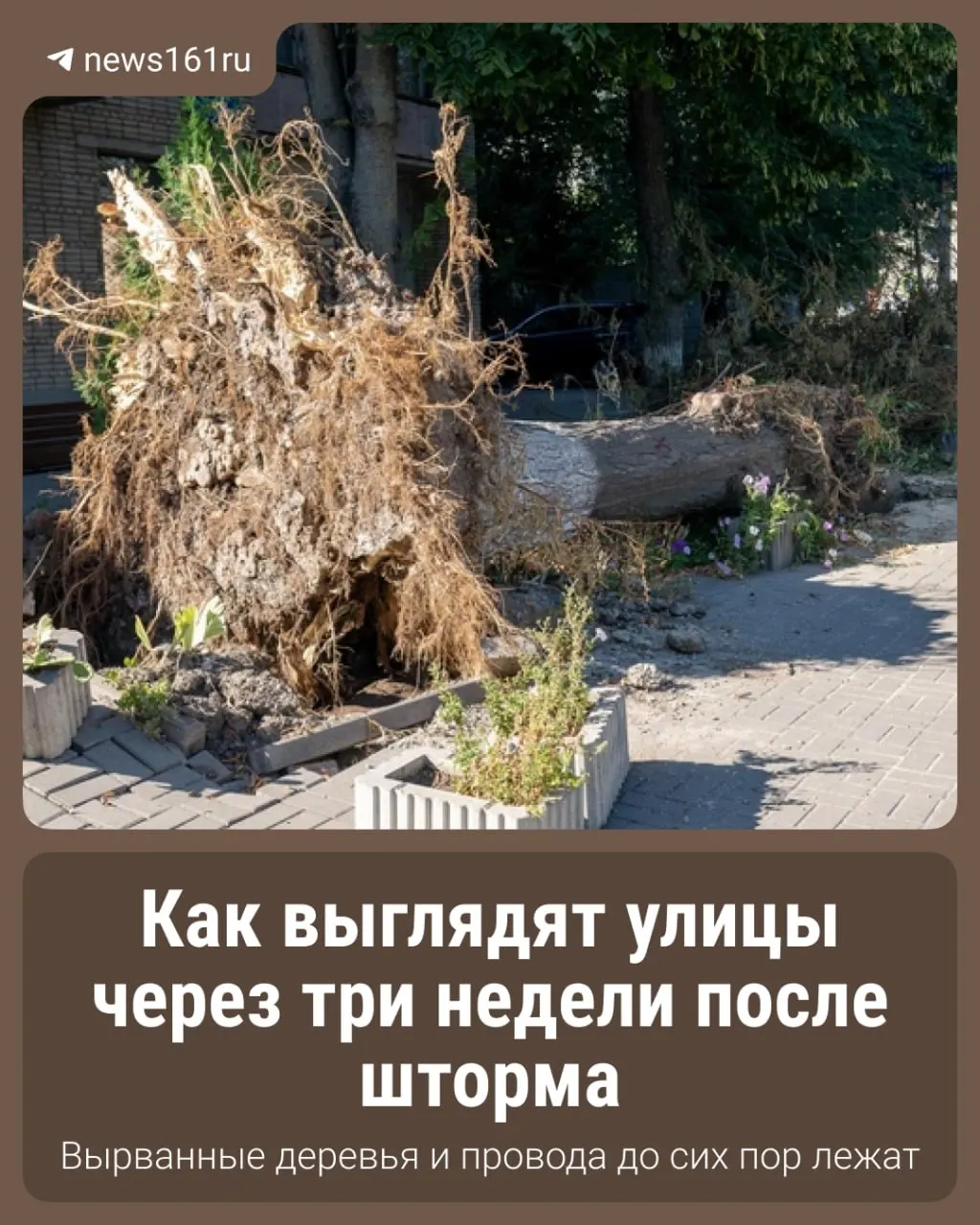 В Ростове-на-Дону после шторма город продолжает восстанавливаться: поваленные деревья, оборванные провода и разрушенные участки напоминают о произошедшем.