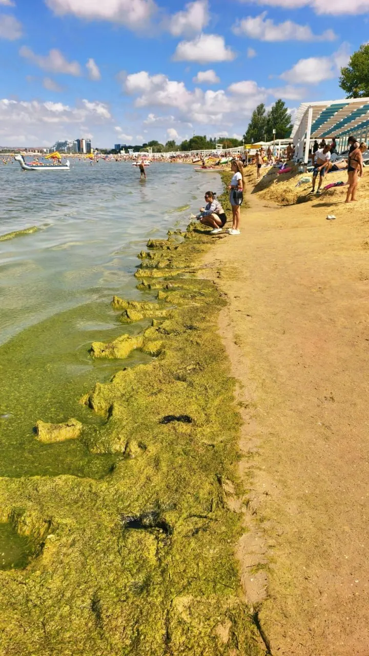 На пляже Анапы зафиксировано скопление водорослей и медуз, отдыхающие продолжают купаться.