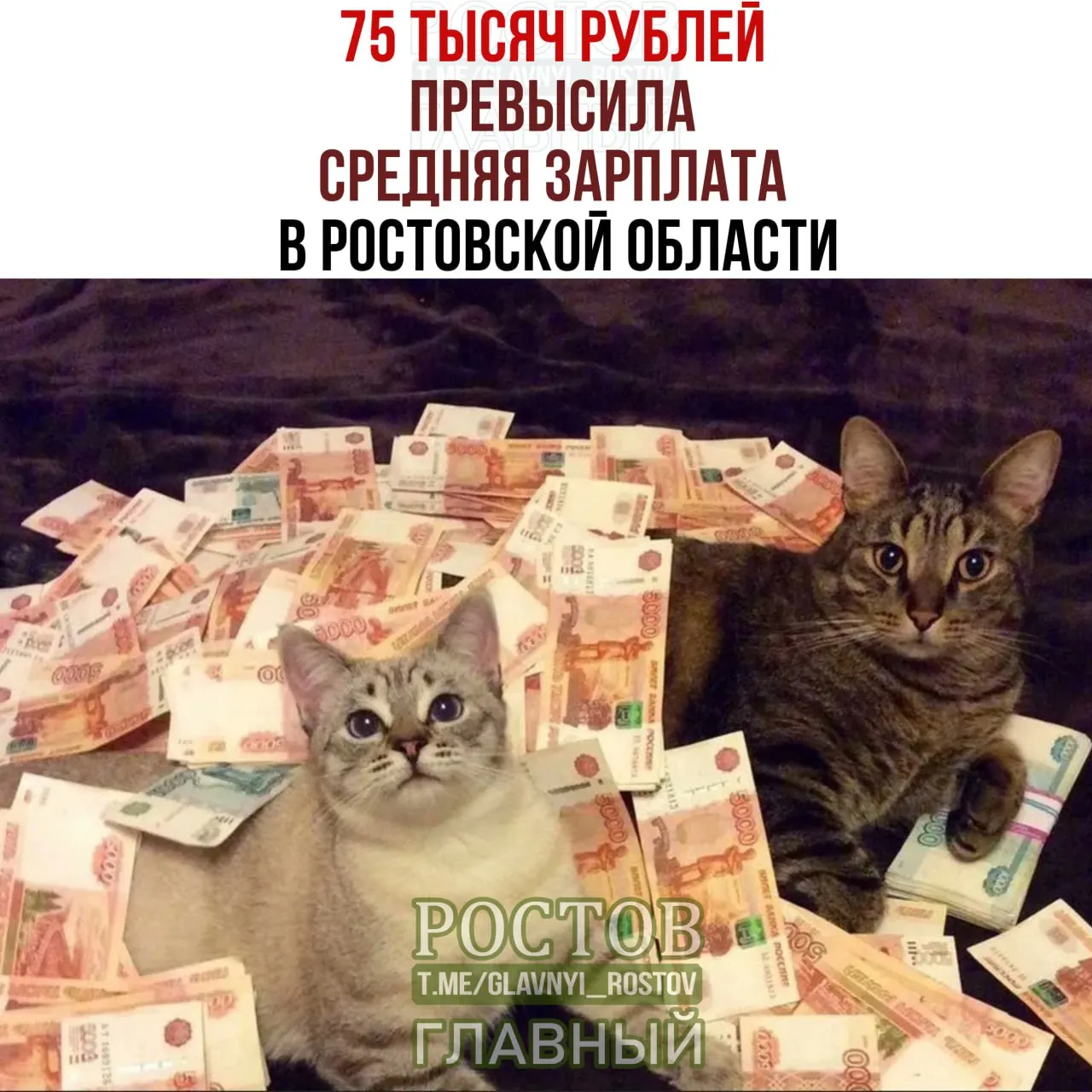 По данным Ростовстата, с января по май 2026 года средняя начисленная зарплата по региону составила 75,1 тыс. рублей — на 14% выше годом ранее. По стране — 110,2 тыс. рублей, в Краснодарском крае — около 85 тыс. рублей.