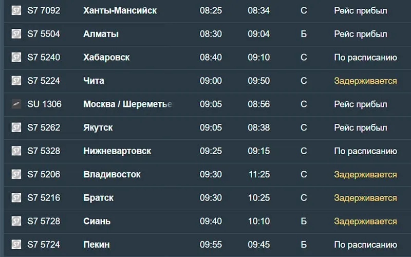 Утром 18 августа в Новосибирске зафиксированы задержки 14 рейсов; задержка коснулась вылетов из Санкт-Петербурга, Читы, Владивостока, Братска и других городов. Также задержаны рейсы из Минеральных Вод и Нижнего Новгорода.