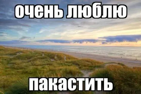 1 августа в Ростове‑на‑Дону ожидается солнечная погода, температура поднимется до +31 °C, ветер до 7 м/с.