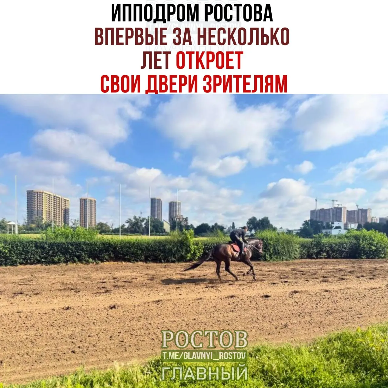 12 сентября на ипподроме стартует 124-й сезон скачек за Кубок губернатора Ростовской области; зрителей ждут захватывающие забеги и праздничная атмосфера.