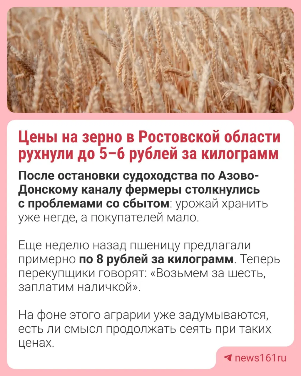 Цены на пшеницу в Ростовской области снизились до 5–6 ₽ за кг: ранее обсуждалось около 8 ₽, теперь перекупщики готовы забрать урожай за 6 ₽ наличными. Из-за перебоев с отгрузкой склады переполнены, аграрии задумываются, стоит ли сеять дальше.