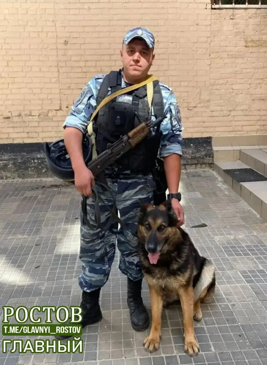 Похищение телёнка стоимостью 45 000 рублей раскрыто: собака помогла задержать подозреваемого; ущерб возмещён, в отношении мужчины возбуждено уголовное дело.
