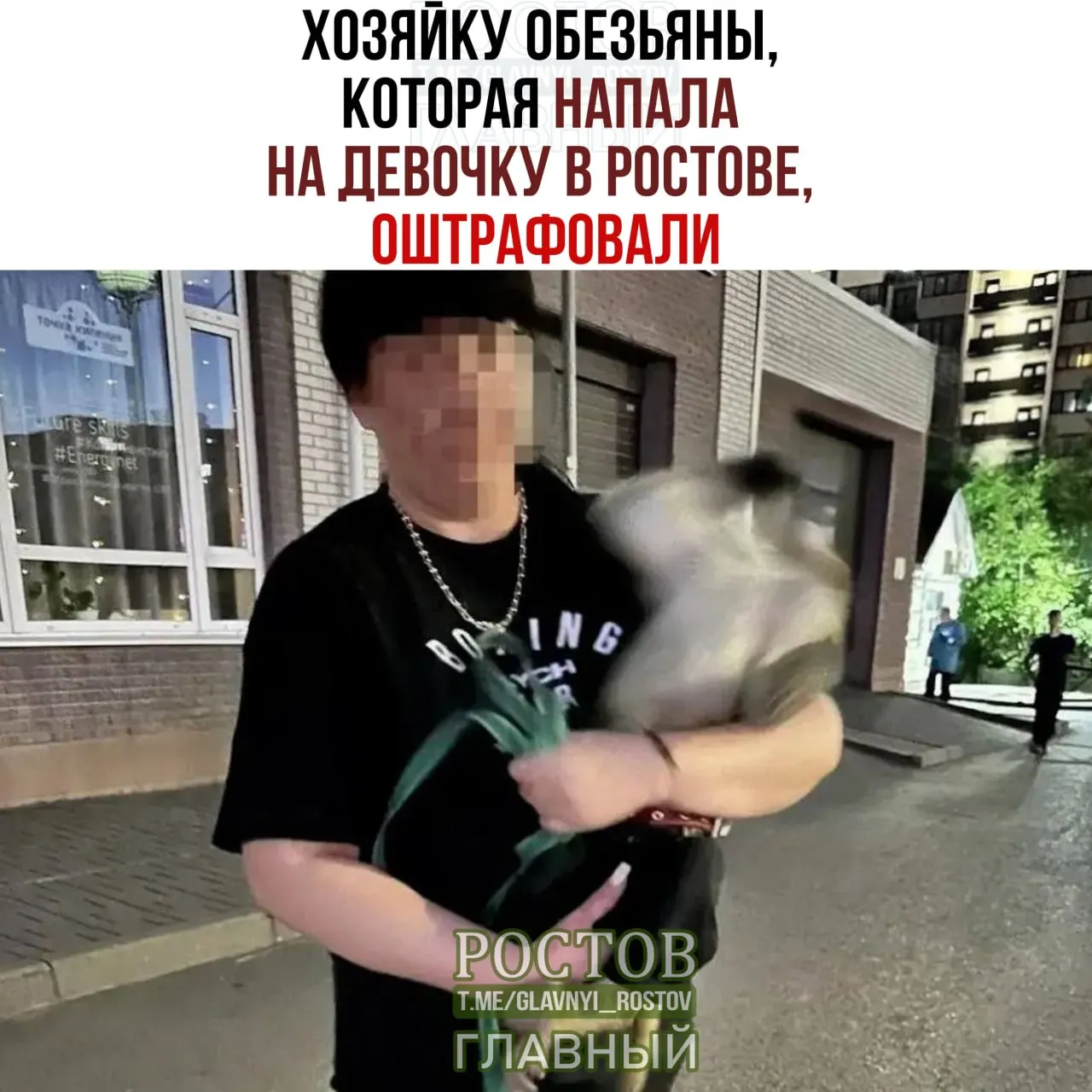 Хозяйка обезьяны оштрафована на 70 тысяч рублей после нападения на 10-летнюю девочку возле общежитий ЮФУ на улице Зорге; пострадавшая получила медицинскую помощь.