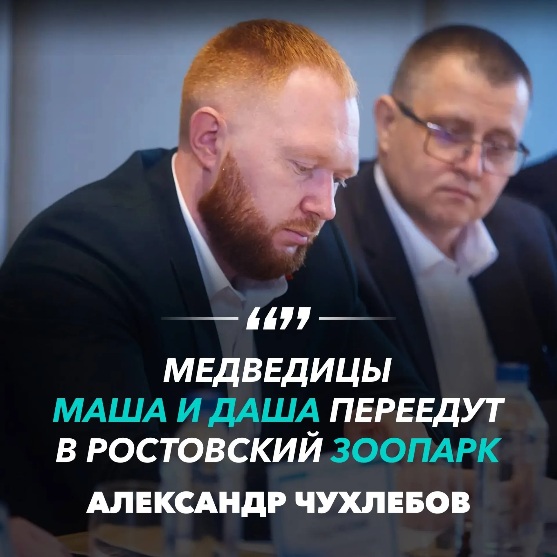 После длительной истории содержания за пределами зоопарка власти нашли решение: медведицы переедут в Ростовский зоопарк.
