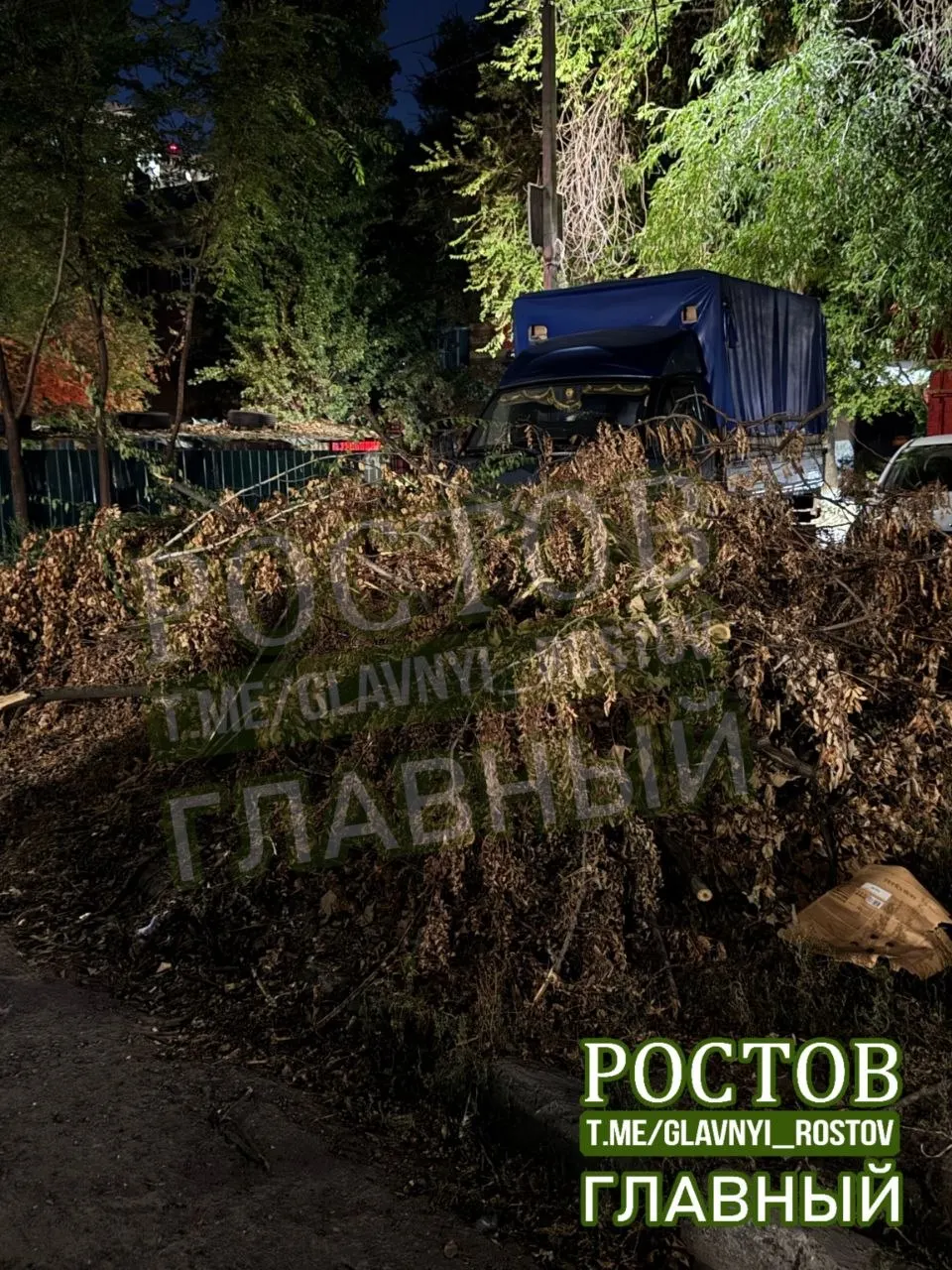 Местные жители требуют убрать ветки возле жилого дома и получить разъяснения по штрафам за «зеленую» зону, так как знаки и озеленение отсутствуют.