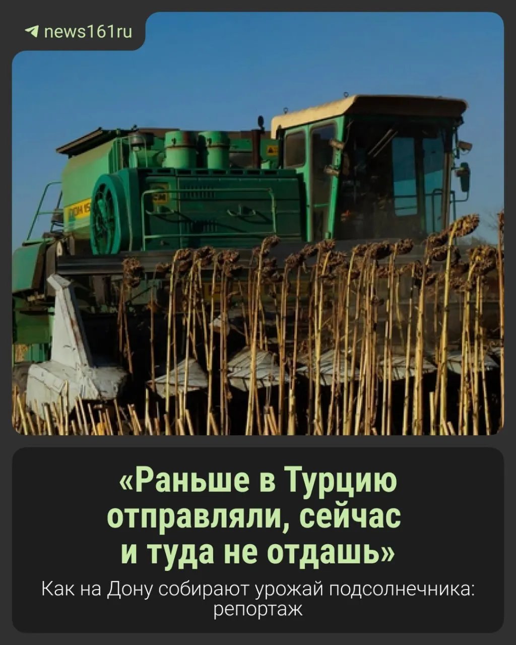 Сюжет о сборе урожая и бюрократии ФГИС в Зерноградском районе и последствиях засухи для фермеров Ростовской области.