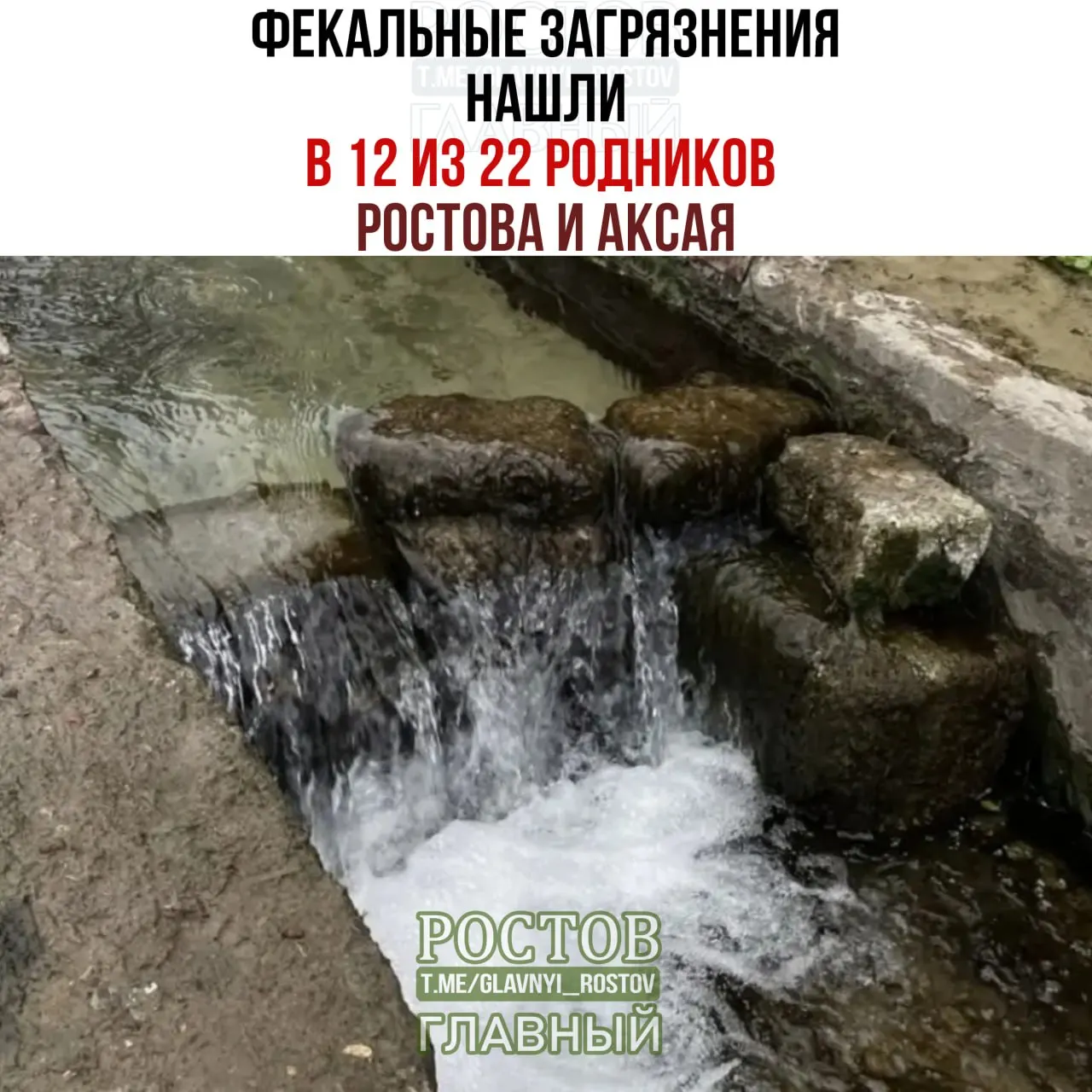Исследование Ростовского НИИ микробиологии и паразитологии зафиксировало превышение нормативов в 12 родниках из 22 в Ростове и Аксае; один источник показал 700 единиц кишечной палочки на 100 мл.
