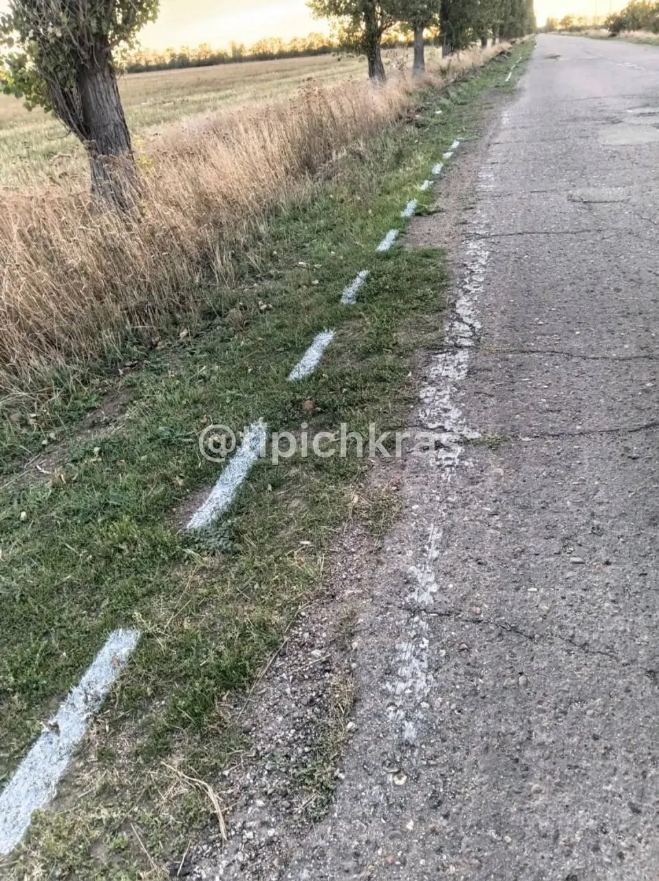 В поселке Большелугский Ейского района запустили эксперимент: часть линий оказалась нарисована на обочине, а не на дорожном полотне.