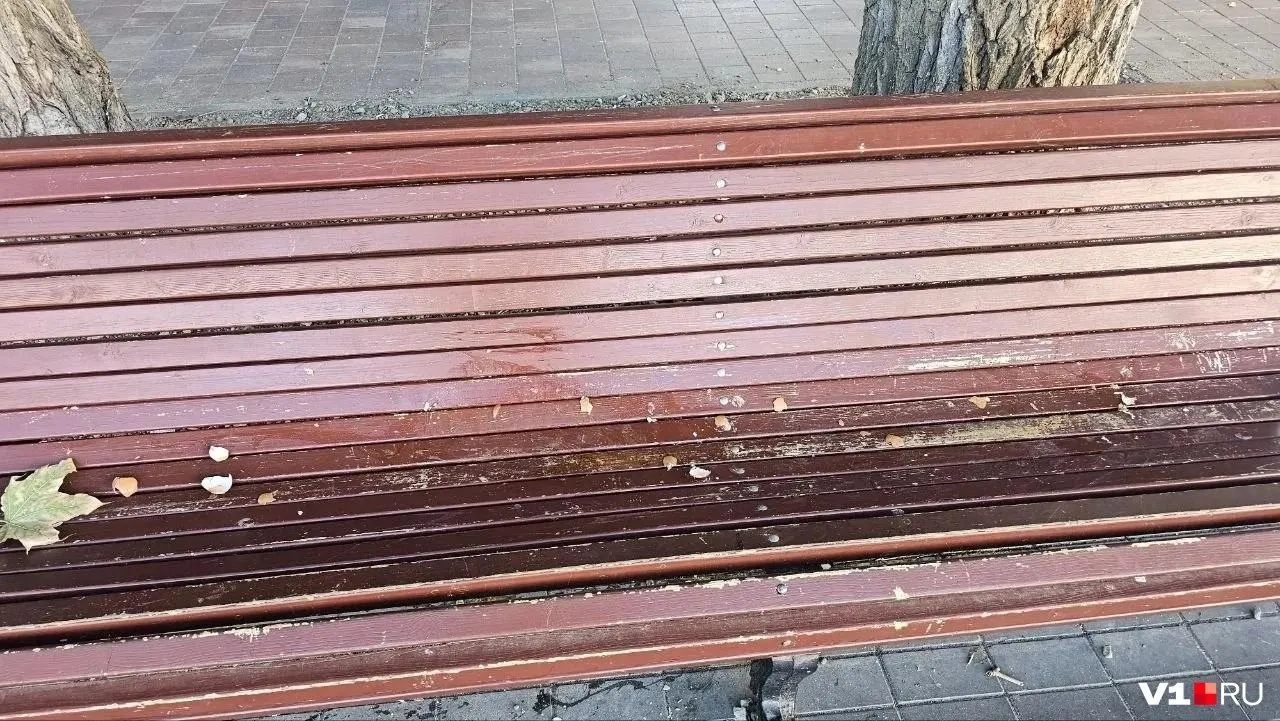 На детской площадке в Горсада вновь зафиксированы случаи разбрасывания сырых яиц. Полиция и городская администрация уже уведомлены.