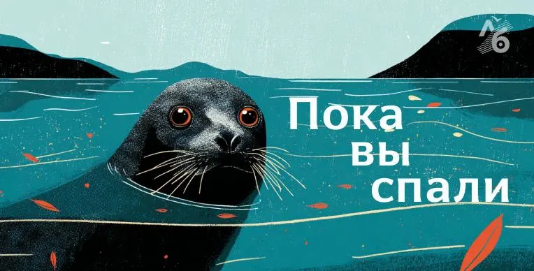 В регионе обнаружены тела двух альпинистов; помимо этого обсуждают вопросы фальсификаций на выборах, тарифы и крупномасштабную застройку.