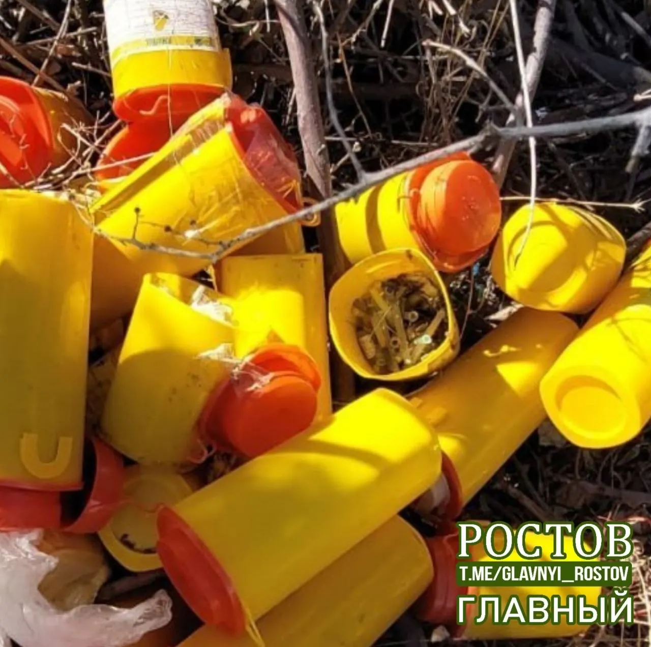Неизвестные оставили на дороге биологические отходы; на упаковках указана маркировка класса опасности B; ситуация вызывает тревогу у местных экологов.