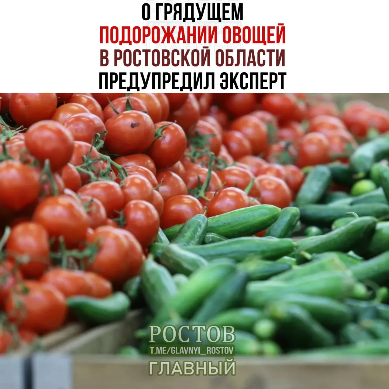 В регионе растут цены на овощи из-за изменений ассортимента, дорожания логистики и снижения производства мяса и молока в регионе.