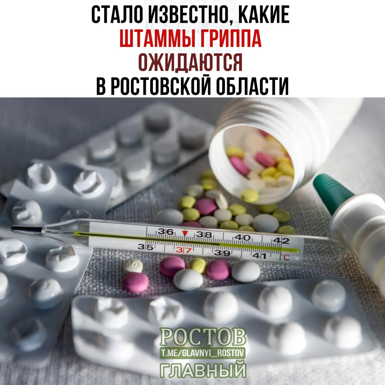 Ожидаемые штаммы гриппа в Ростовской области и прогнозы на сезон 2026–2027.
