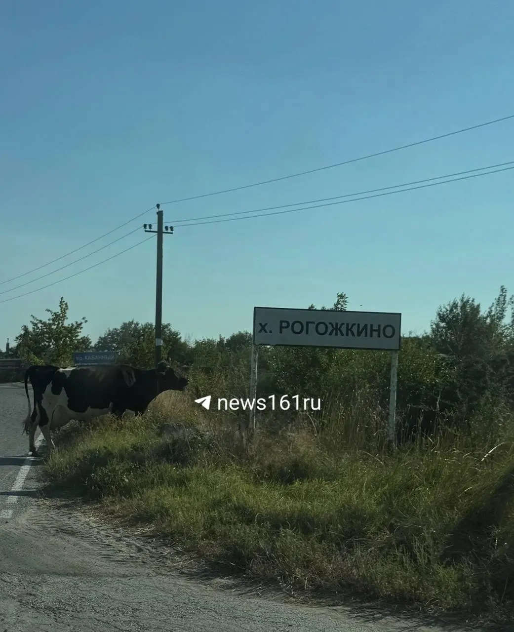 На выполнение работ выделено 81,7 млн рублей; ремонт планируют завершить до 23 декабря. Дорогу повредили в 2023 году военные грузовики, перевозившие материалы для водовода на Донбасс, ремонт возложили на местную администрацию.