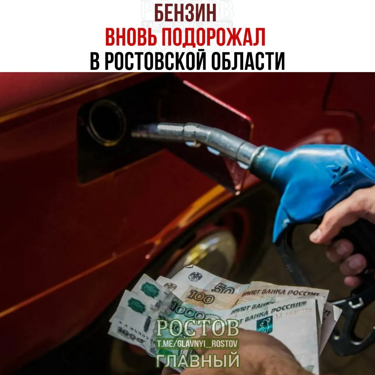 В Ростовской области бензин продолжает дорожать: дизель растёт медленнее, а марки АИ-92 и АИ-95 — заметно выше прошлых отметок.