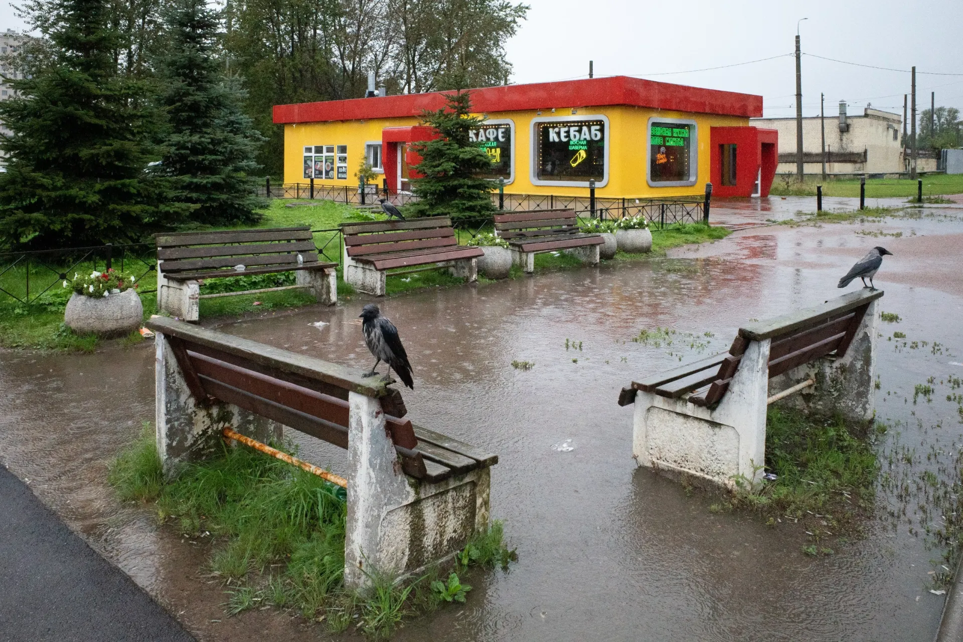 Новости Санкт-Петербурга, России и мира: разводы в политических кругах, правовые вопросы и новые инциденты на фоне международной обстановки.