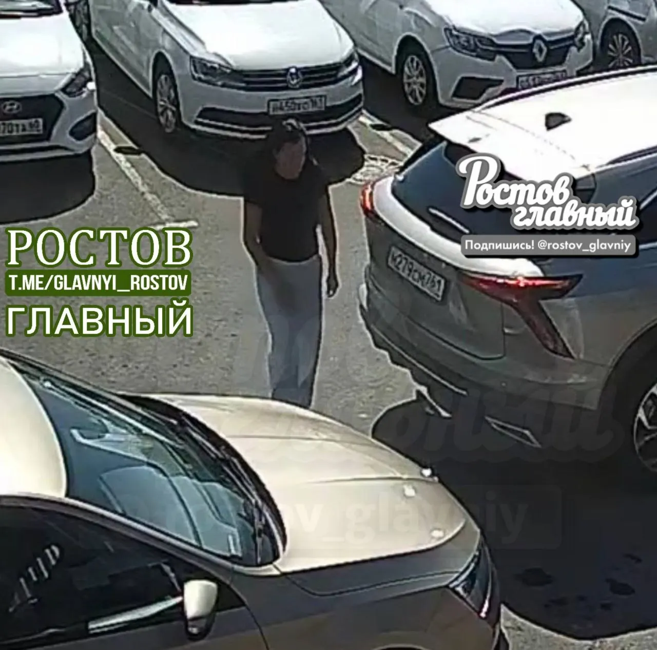Дорожное происшествие в регионе: владелица серого HAVAL с номером M279CM 761 ударила чужой автомобиль и покинула место происшествия. Ищут владельца автомобиля и свидетелей.