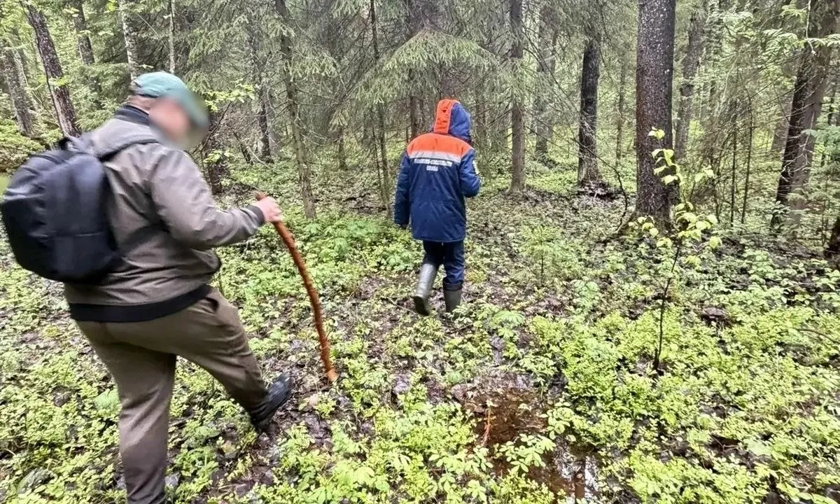 Спасатели обнаружили заблудившегося туриста из Ростовской области; мужчину нашли в лесу в районе Петрозаводска, медицинская помощь не потребовалась.