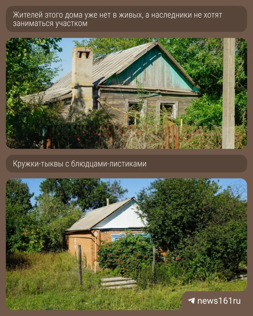 В Ростовской области посёлок Малый Лог сталкивается с закрытой школой, опустевшими домами и сложной ситуацией с урожаем подсолнечника на фоне снижения цен.