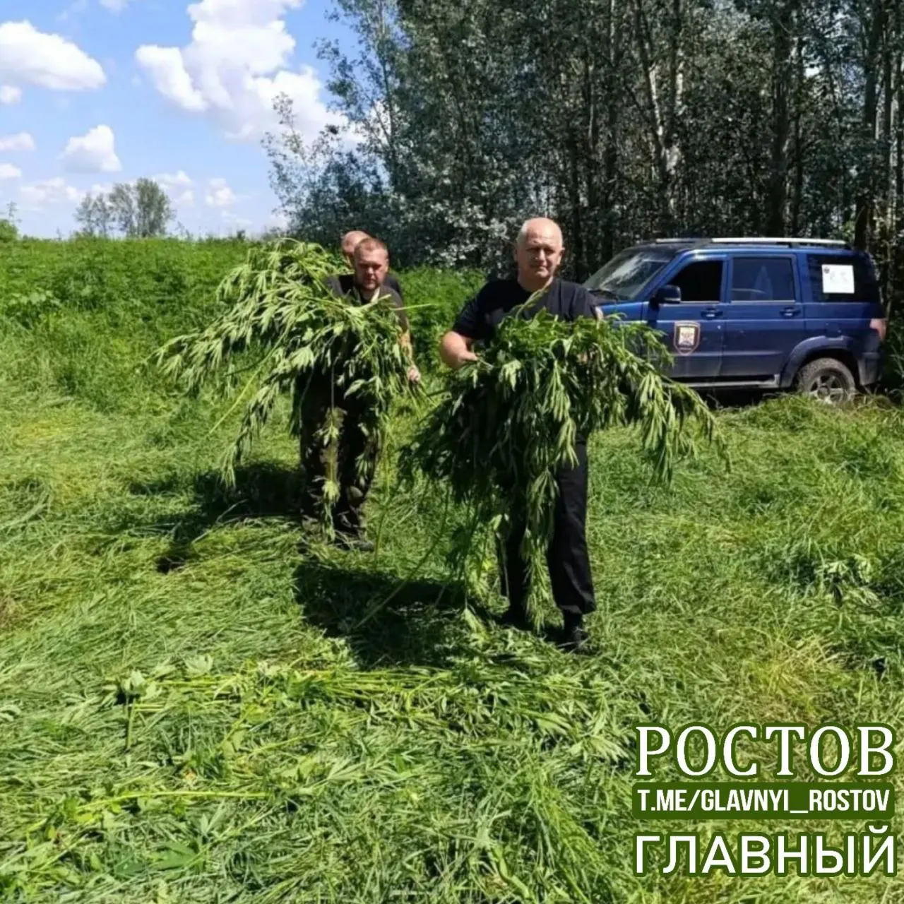 По итогам совместной операции ликвидировано 1000 кустов дикорастущей конопли массой 42 кг. Участие приняли сотрудники полиции по контролю за оборотом наркотиков, администрация Октябрьского района и казачья община.