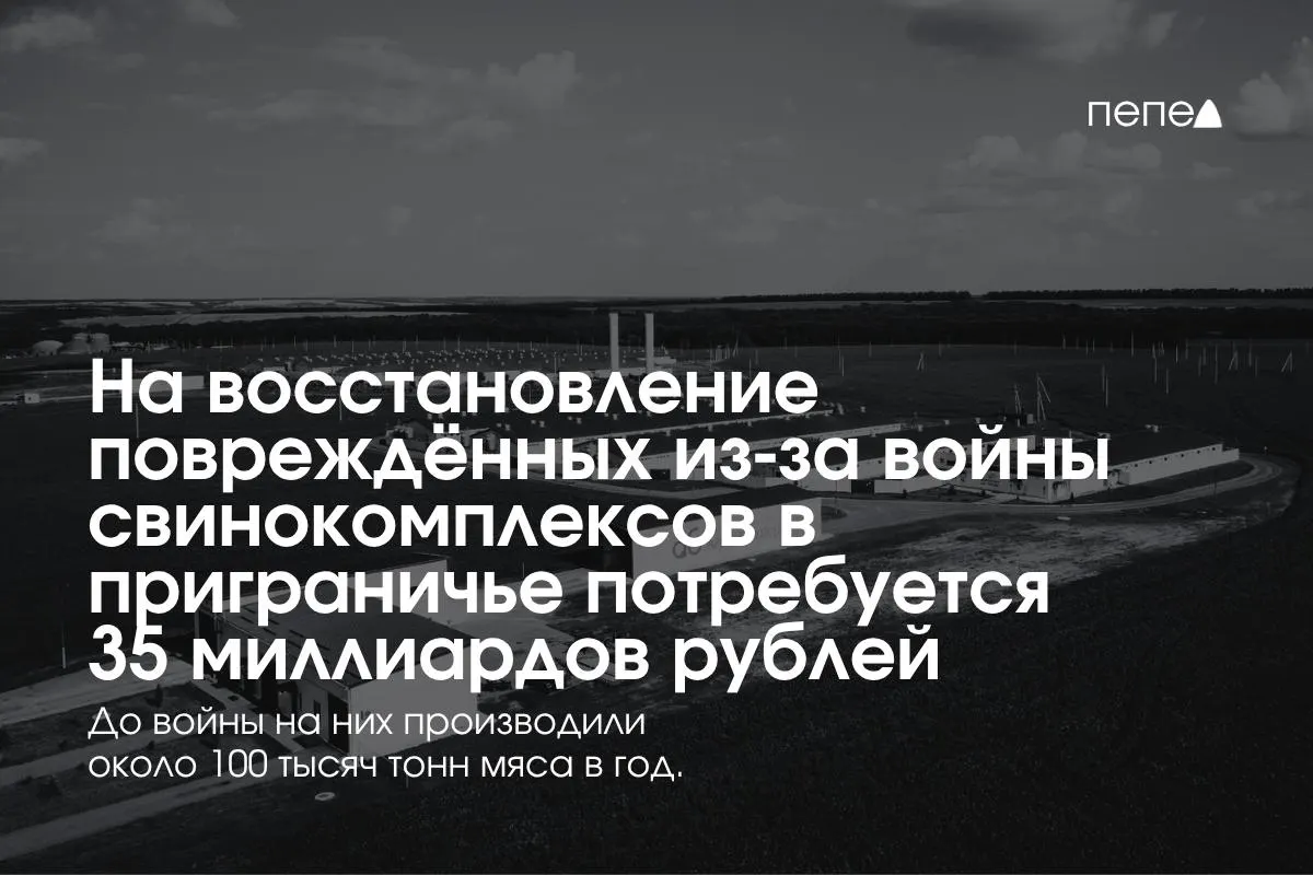 Расходы на восстановление свиноводства в приграничье оцениваются в 35 млрд рублей, сопровождаясь мерами безопасности и вложениями в инфраструктуру.