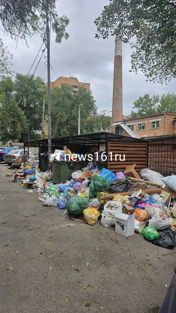 Жители района Комсомольской площади жалуются на нерегулярный вывоз мусора, переполненные баки и появление крыс.