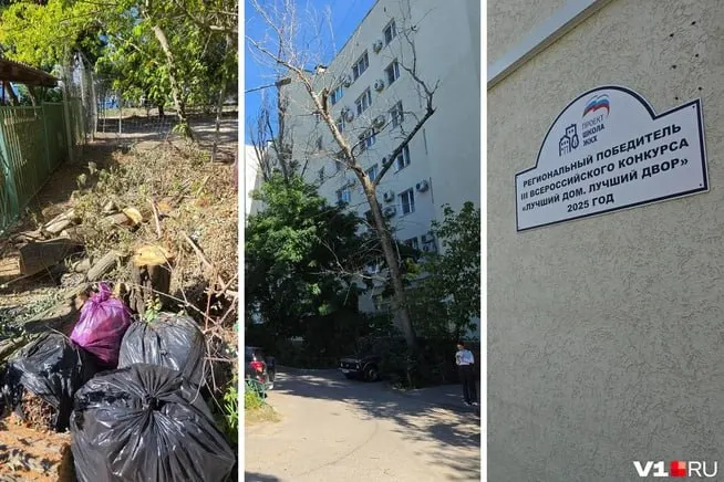 В Волгограде жильцы дома по адресу 7 Гвардейской жалуются на неблагоустроенный двор: сухое дерево, ветки и мусор создают риск падения на детскую площадку, а управляющая компания не выполняет свои обязанности.