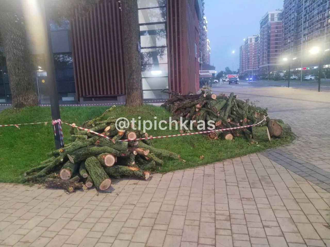 Жители района выражают тревогу по поводу вырубки вековых дубов и требуют разъяснений и действий властей.