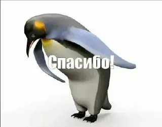 Комитет транспорта сообщил, что на маршрут ежедневно выходит 62 небольших автобуса, а в часы пик их число растет; жители просят пользоваться альтернативой — другими маршрутками в Волгоград из Среднеахтубинского района.