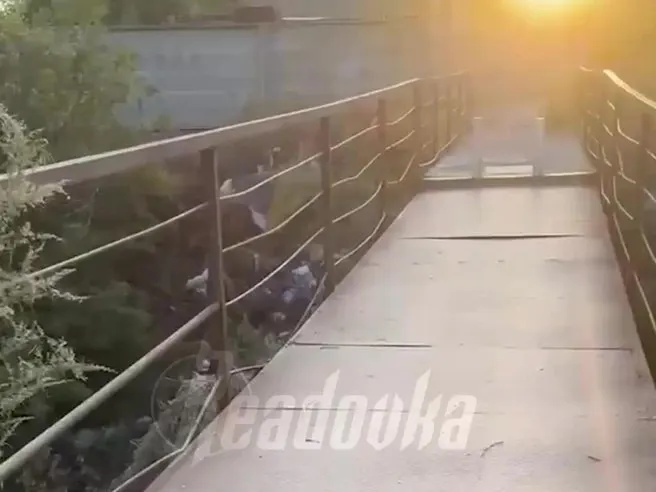 Устаревшая конструкция моста на Дар-гора в Ворошиловском районе Волгограда угрожает жизни десятков школьников, следующих в школу №53.